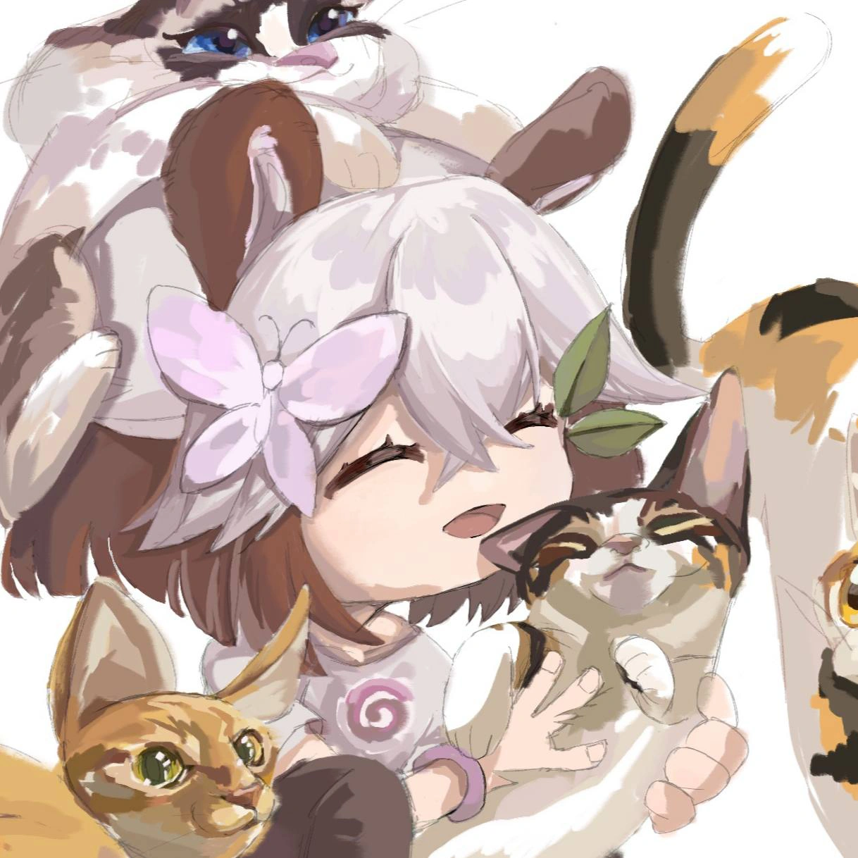 Hoshino Yumeka